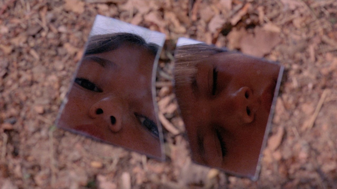 SILENCE (LE) — TMDB (pass2)