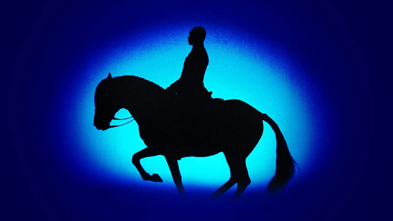 LES CHEVAUX VOYAGEURS — TMDB (pass2)