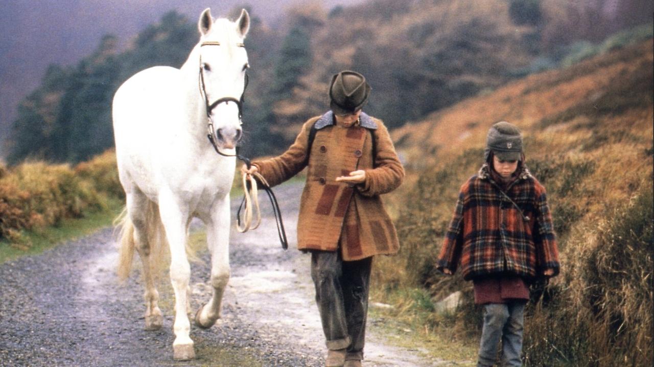 CHEVAL VENU DE LA MER (LE) — TMDB (pass2)