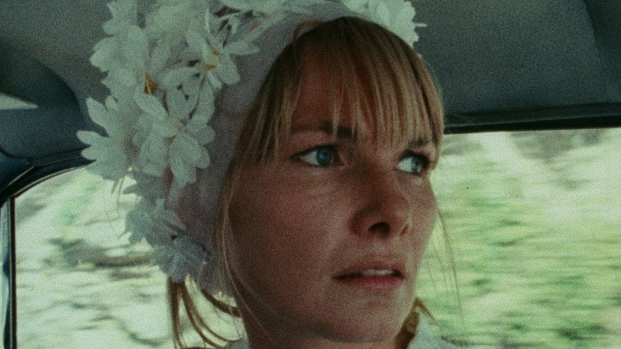 WANDA — TMDB (pass2)