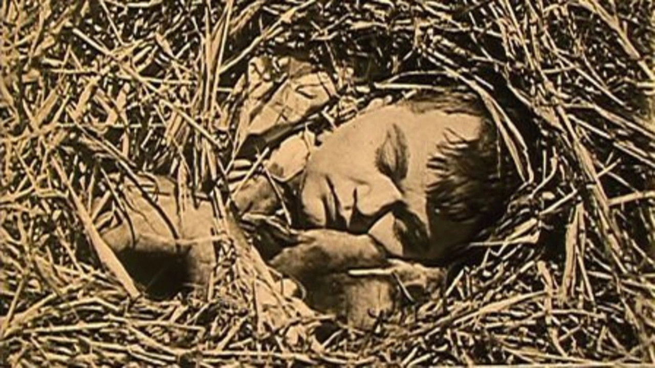 HAYSEED (THE) — TMDB (pass2)