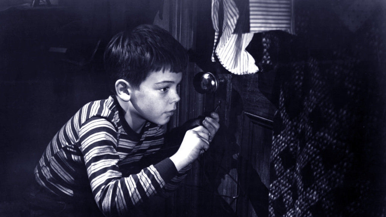 WINDOW, THE — TMDB (pass2)