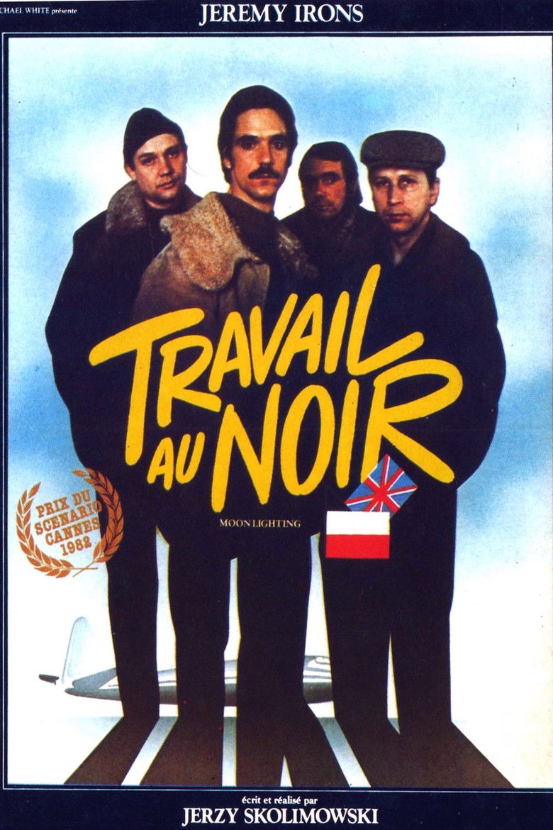 TRAVAIL AU NOIR — TMDB (pass2)