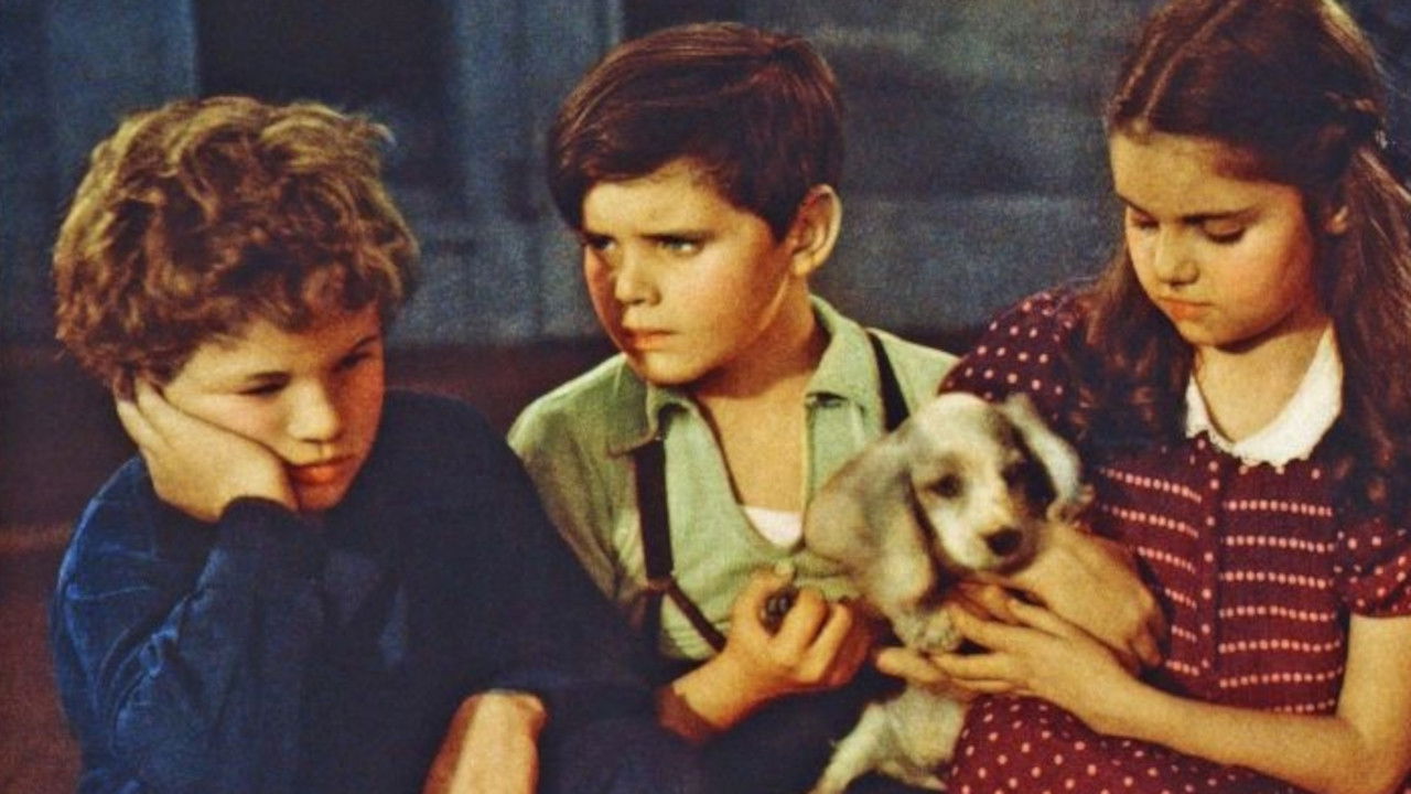 LITTLE ORVIE — TMDB (pass2)
