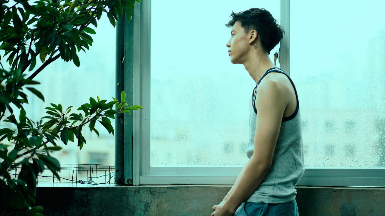 WALKING PAST THE FUTURE — TMDB (pass2)