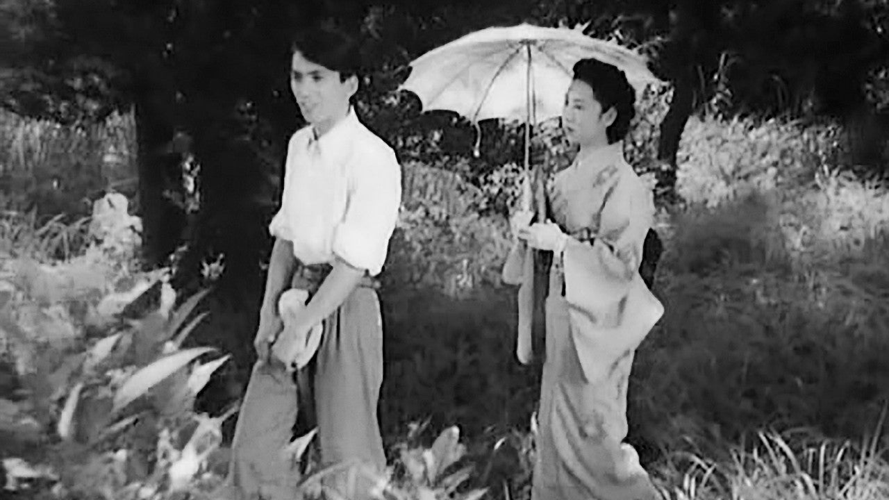 DAME DE MUSASHINO (LA) — TMDB (pass2)
