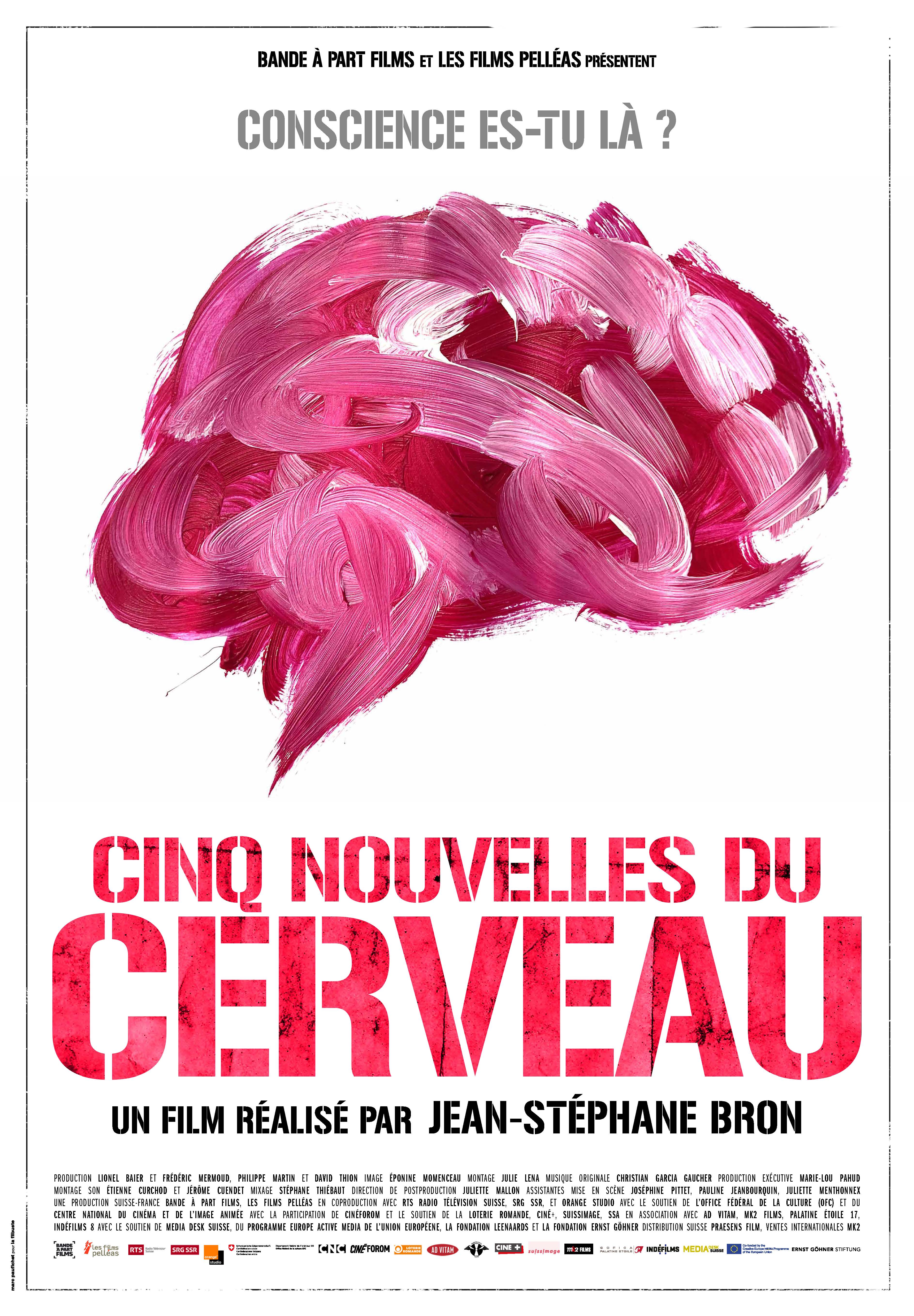 CERVEAU (LE)