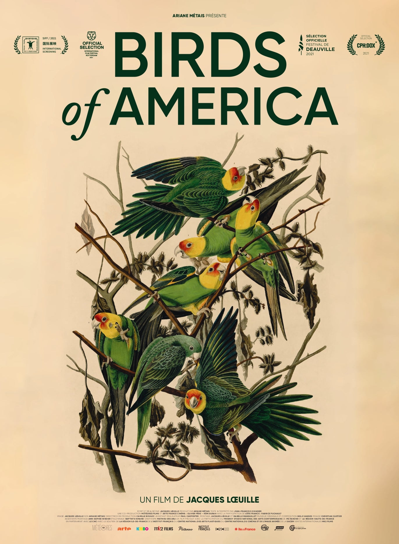 Birds Of America