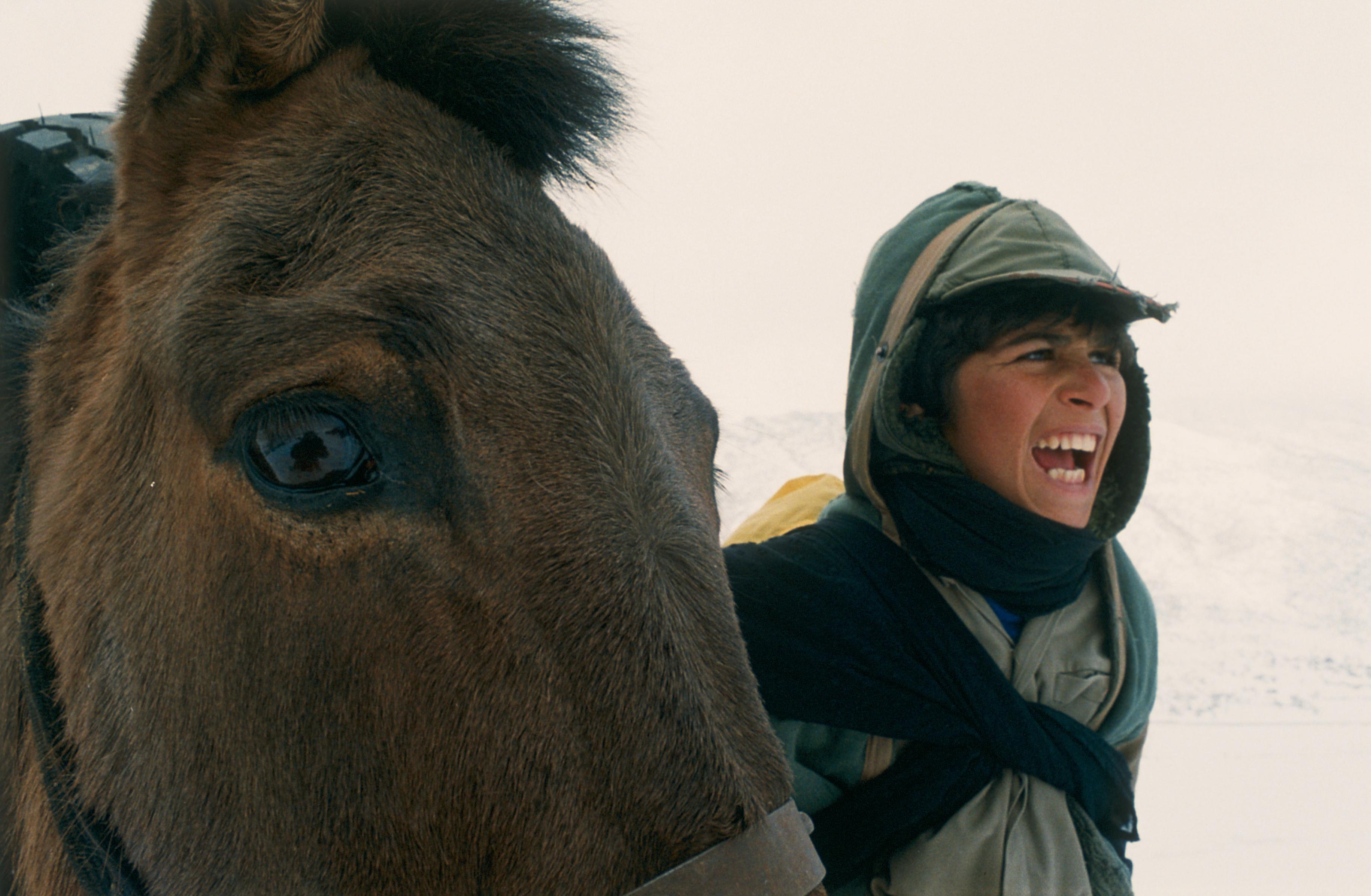 Temps Pour L Ivresse Des Chevaux