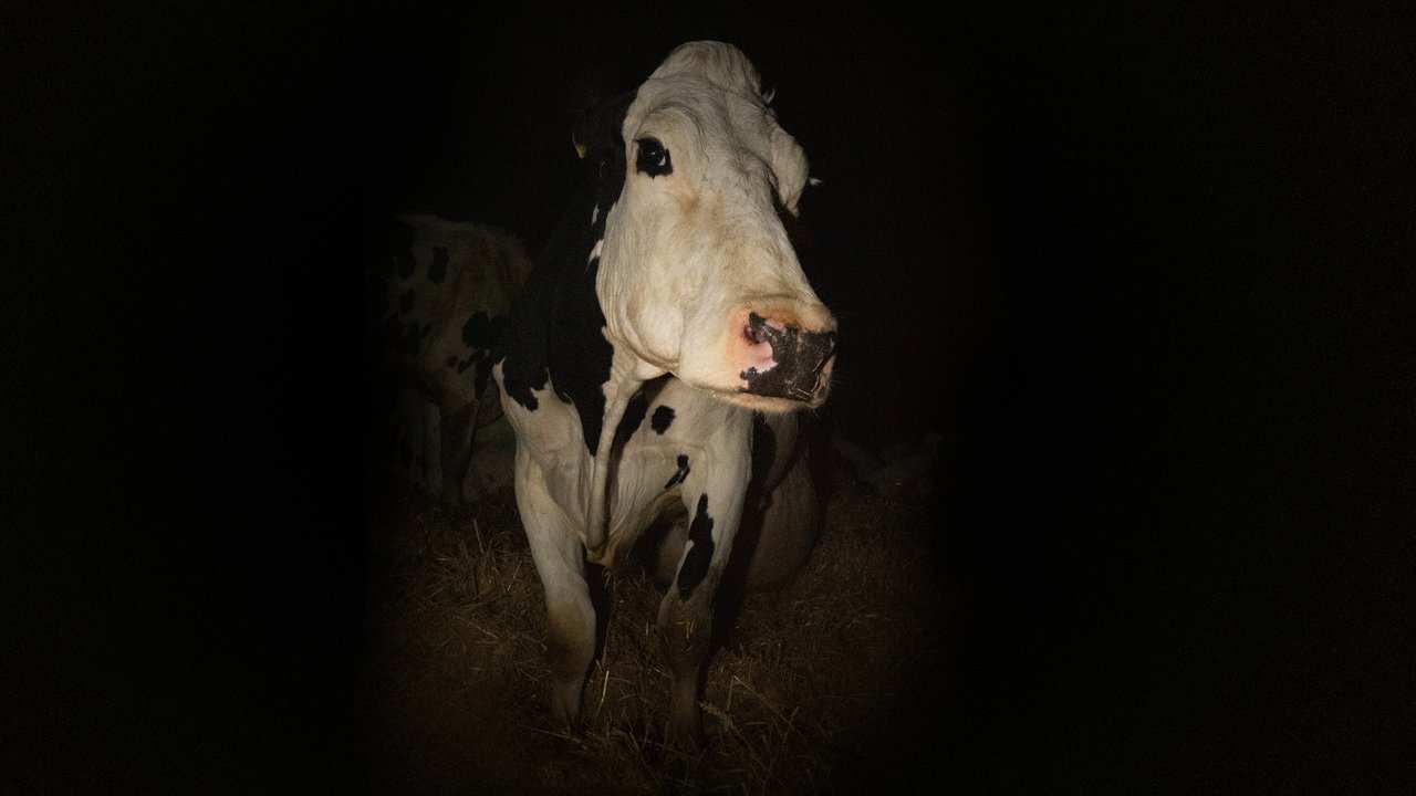 COW — TMDB (pass2)