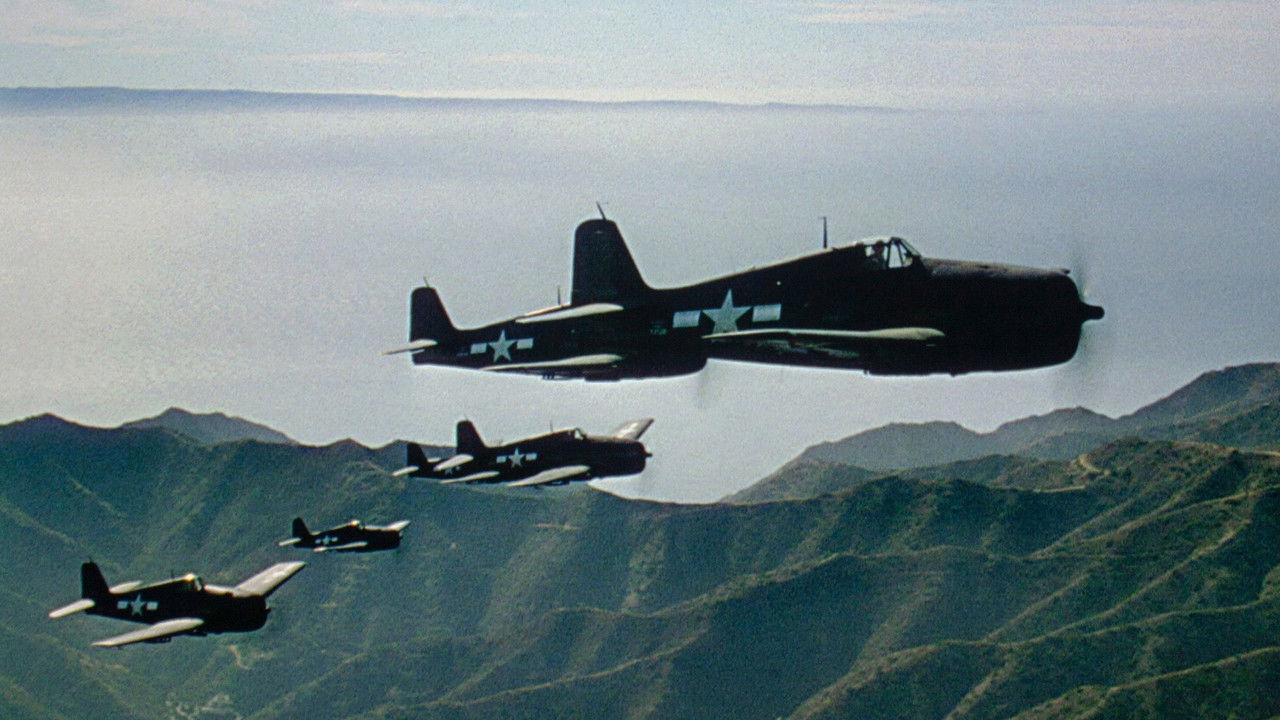 FLYING LEATHERNECKS — TMDB (pass2)