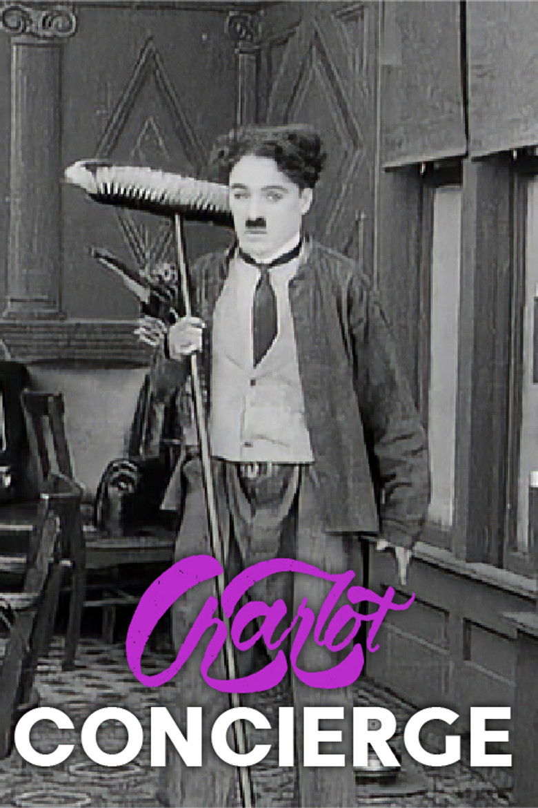NEW JANITOR (THE) — TMDB (pass2)