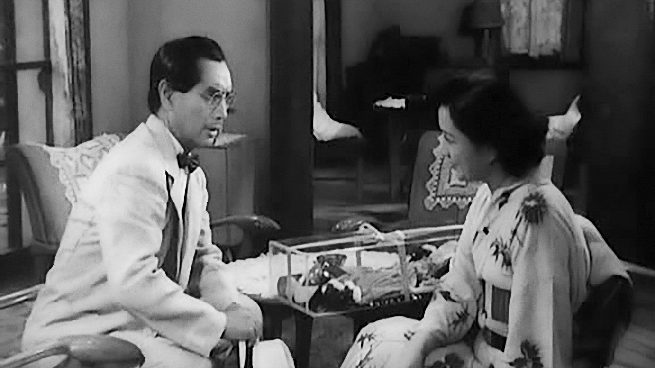 DAME DE MUSASHINO (LA) — TMDB (pass2)