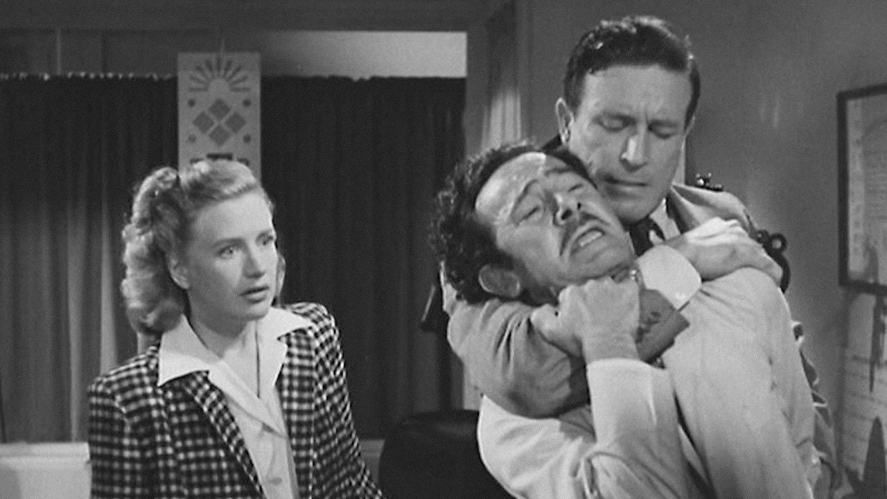 BODYGUARD — TMDB (pass2)