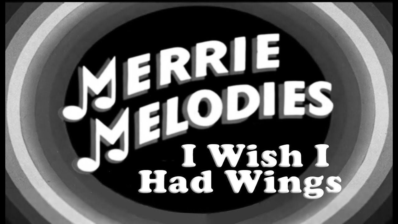 I WISH I HAD WINGS — TMDB (pass2)