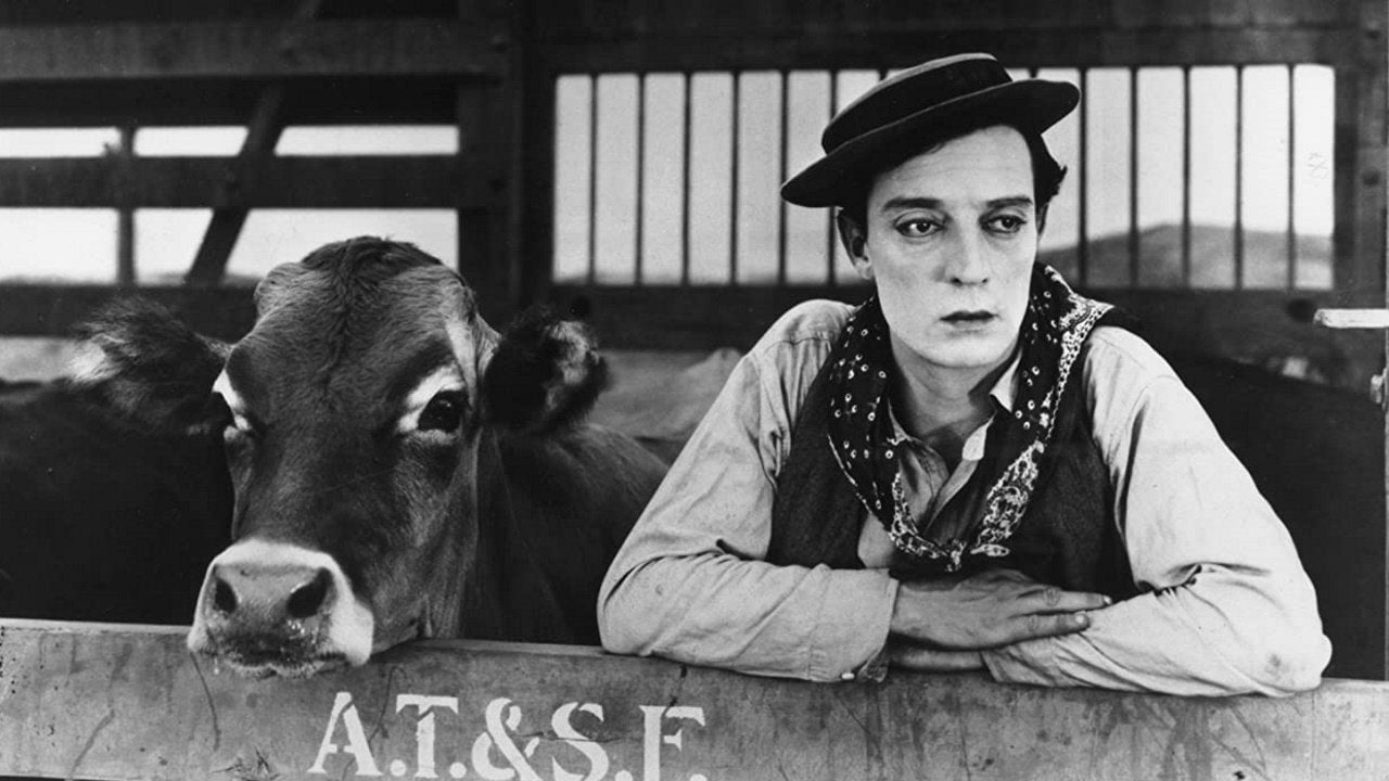 MA VACHE ET MOI — TMDB (pass2)