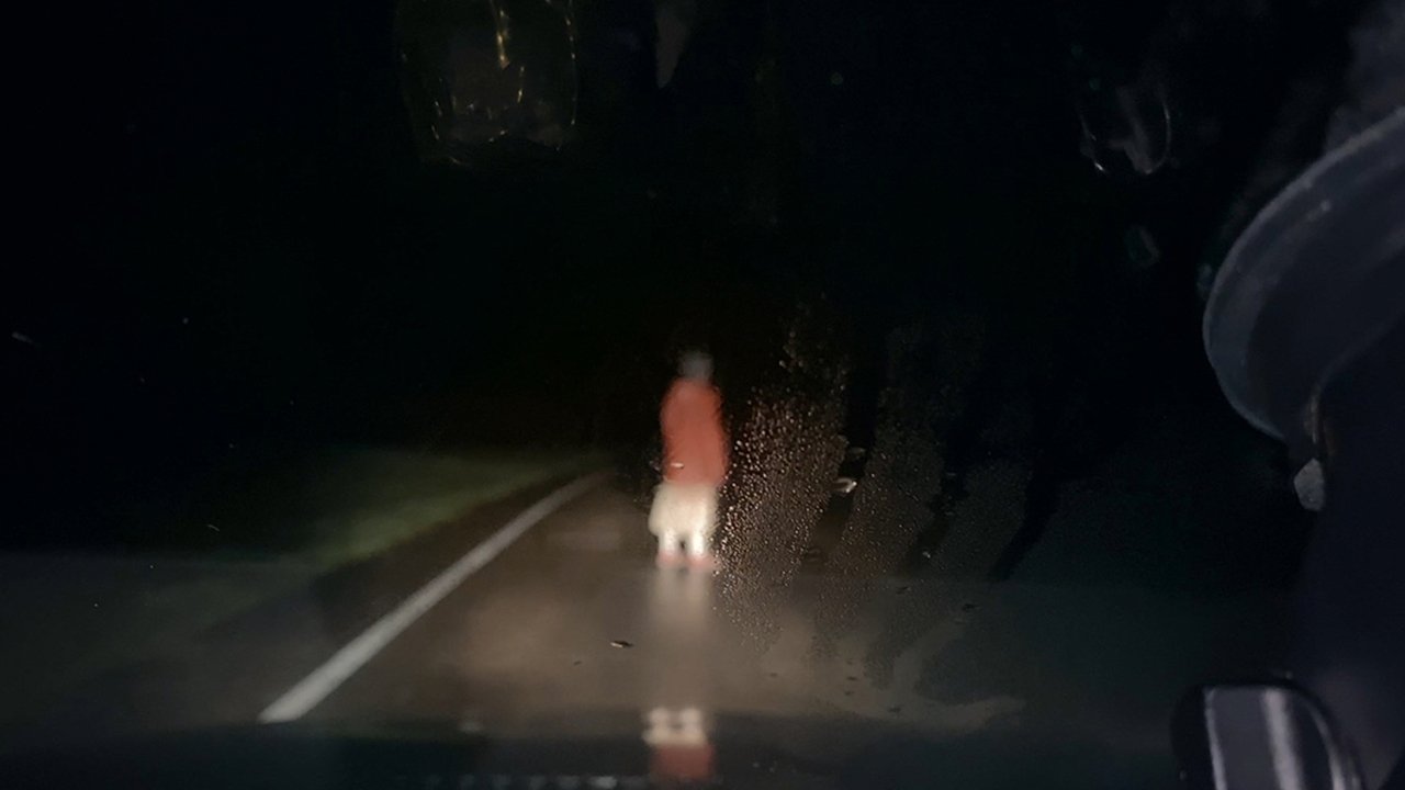 DASHCAM — TMDB (pass2)