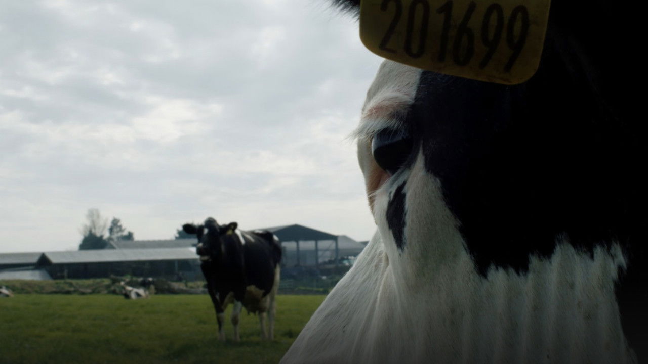COW — TMDB (pass2)
