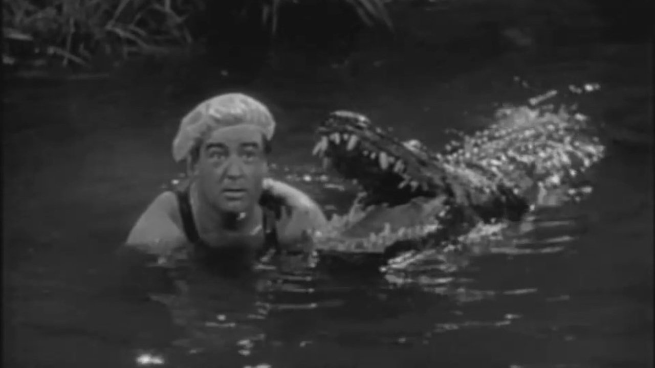AFRICA SCREAMS — TMDB (pass2)