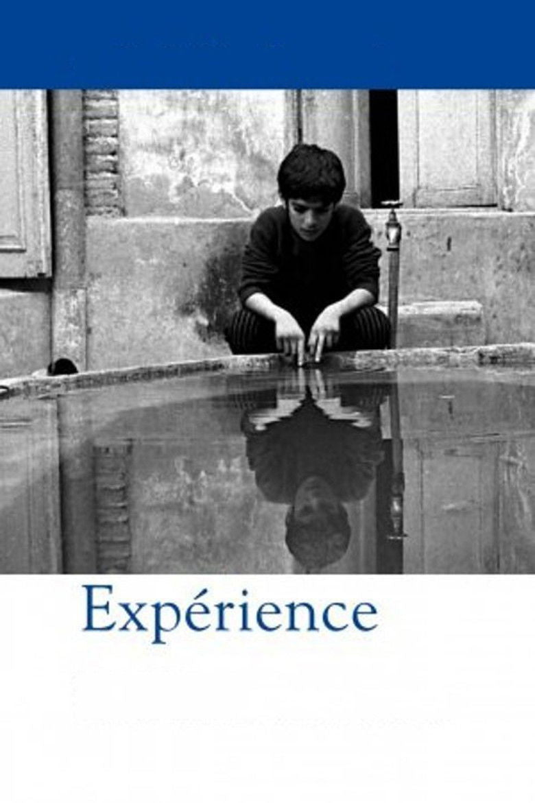 EXPERIENCE — TMDB (pass2)