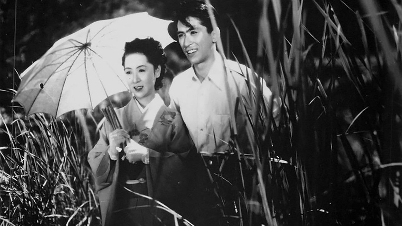 DAME DE MUSASHINO (LA) — TMDB (pass2)