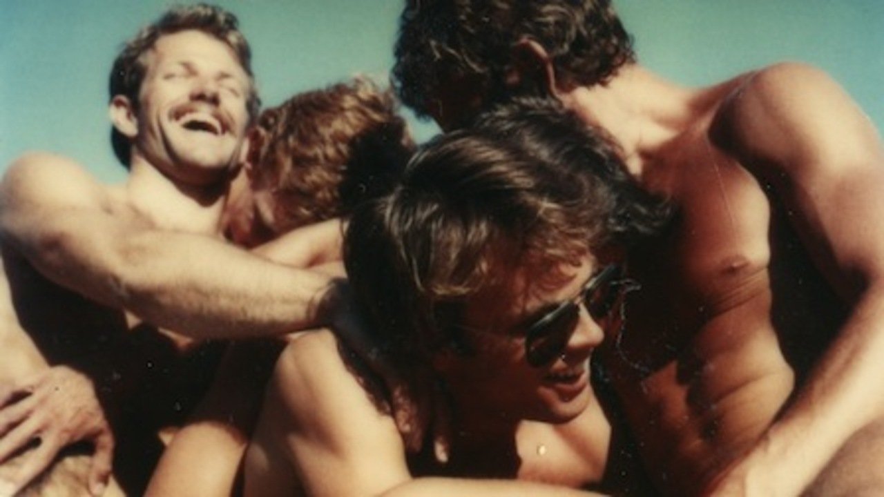 GAY SEX IN THE 70'S — TMDB (pass2)