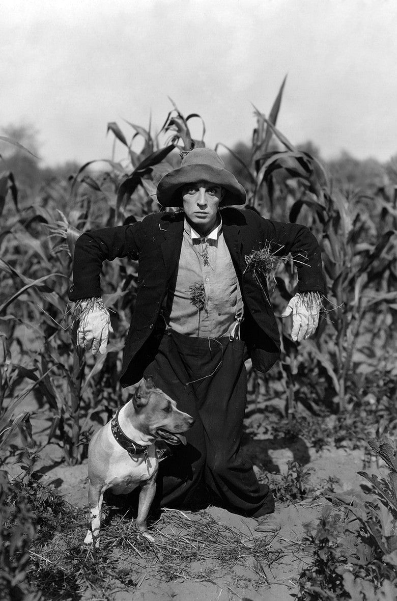 SCARECROW (THE) — TMDB (pass2)
