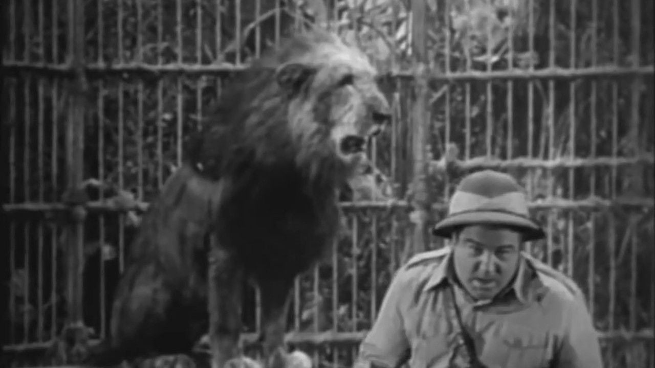 AFRICA SCREAMS — TMDB (pass2)