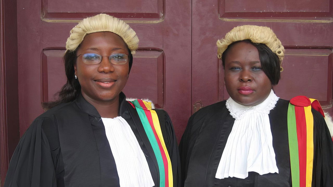 SISTERS IN LAW — TMDB (pass2)