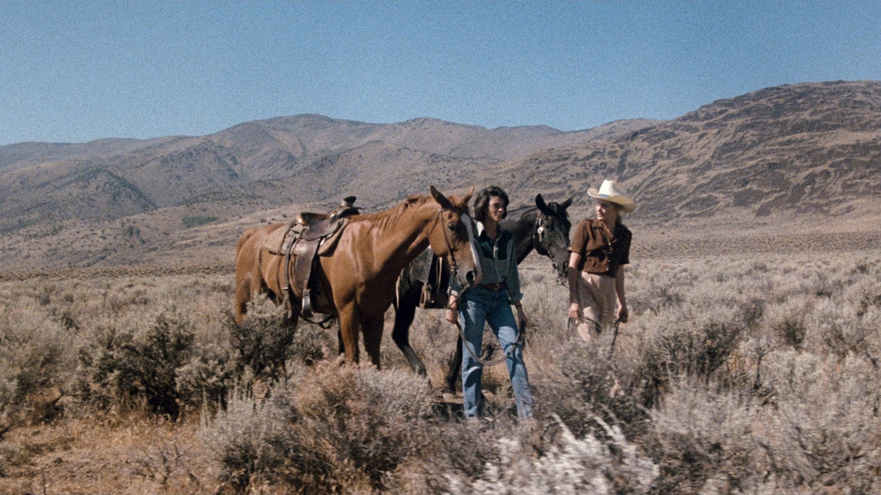 DESERT HEARTS — TMDB (pass2)