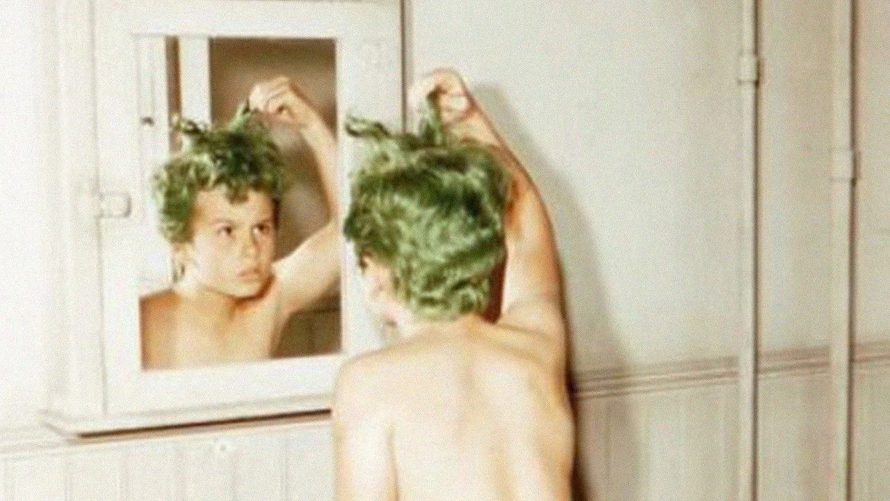 BOY WITH GREEN HAIR, THE — TMDB (pass2)