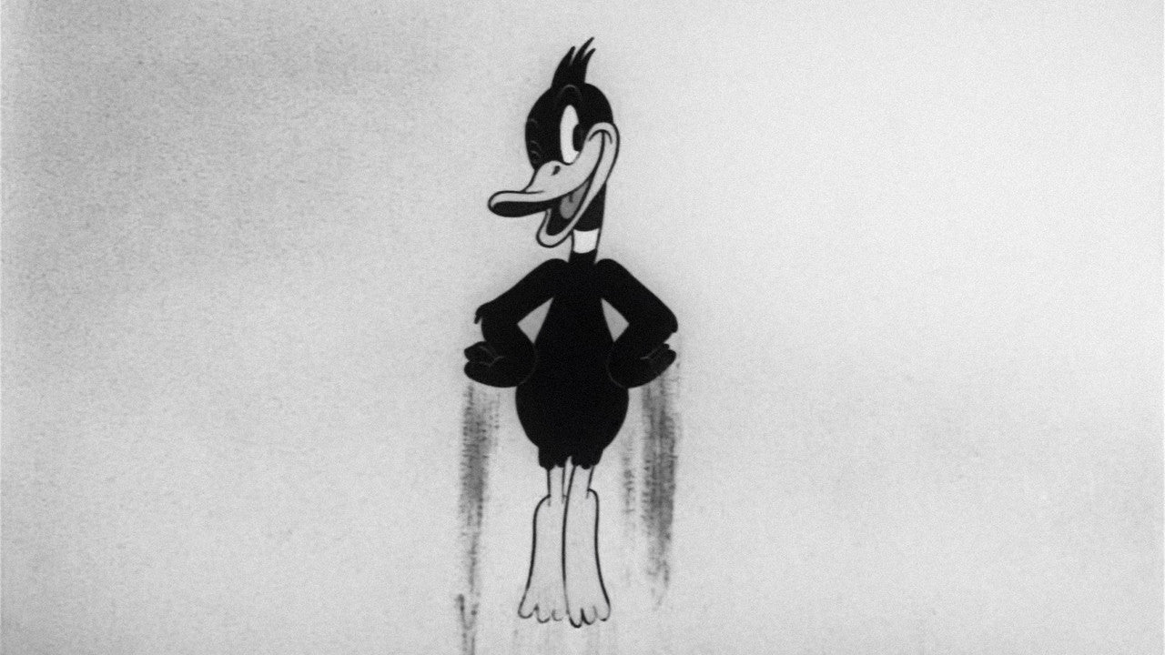 DAFFY S SOUTHERN EXPOSURE — TMDB (pass2)