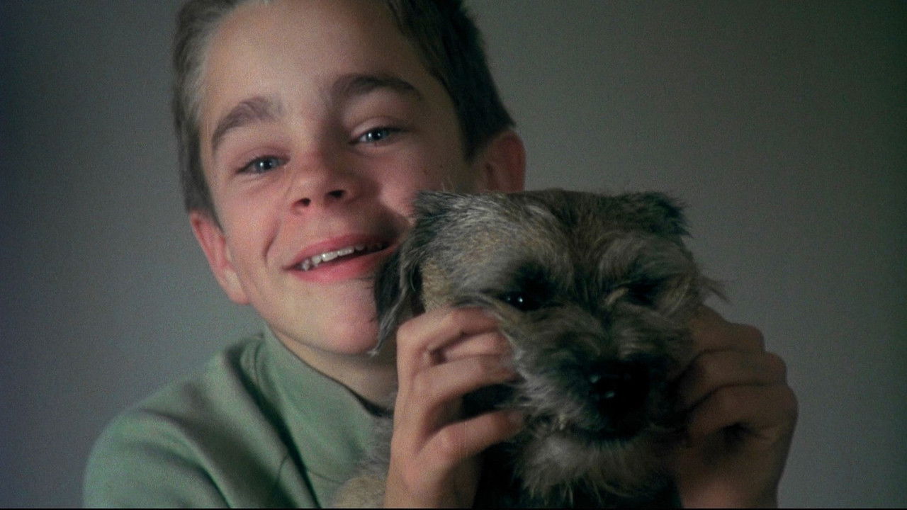 MA VIE DE CHIEN — TMDB (pass2)