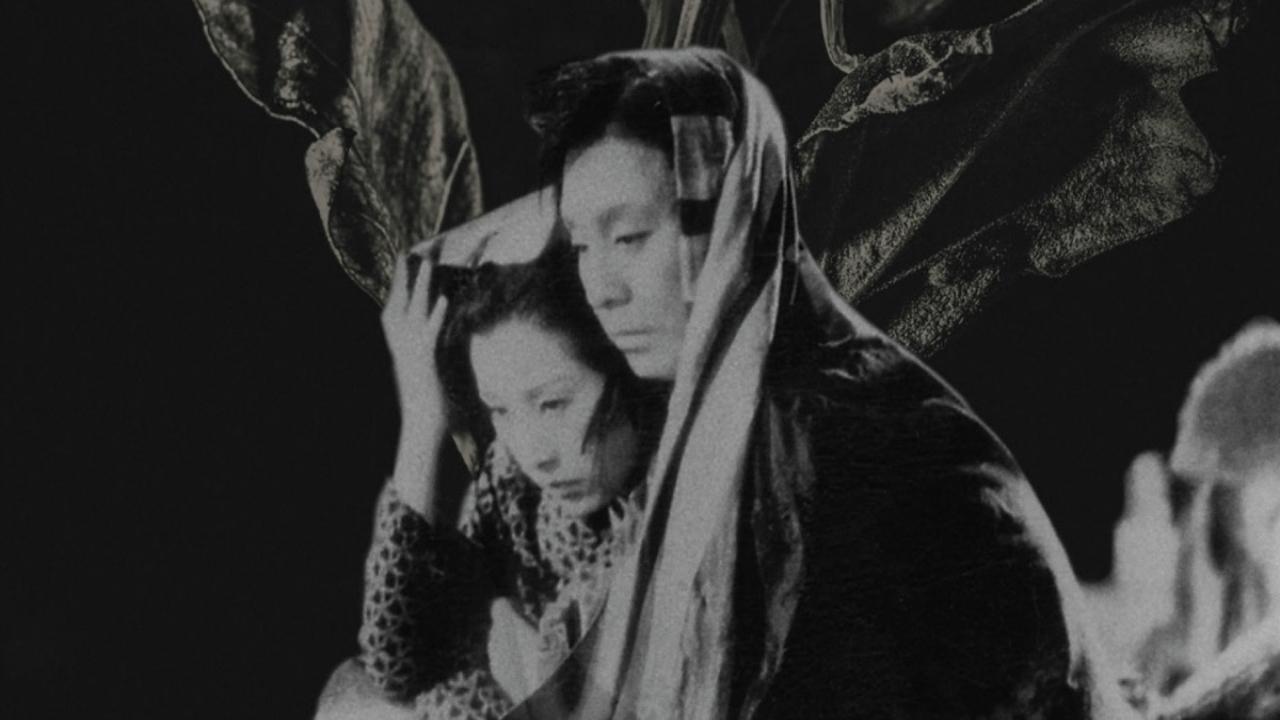 STORY OF THE LAST CHRYSANTHEMUM, THE — TMDB (pass2)