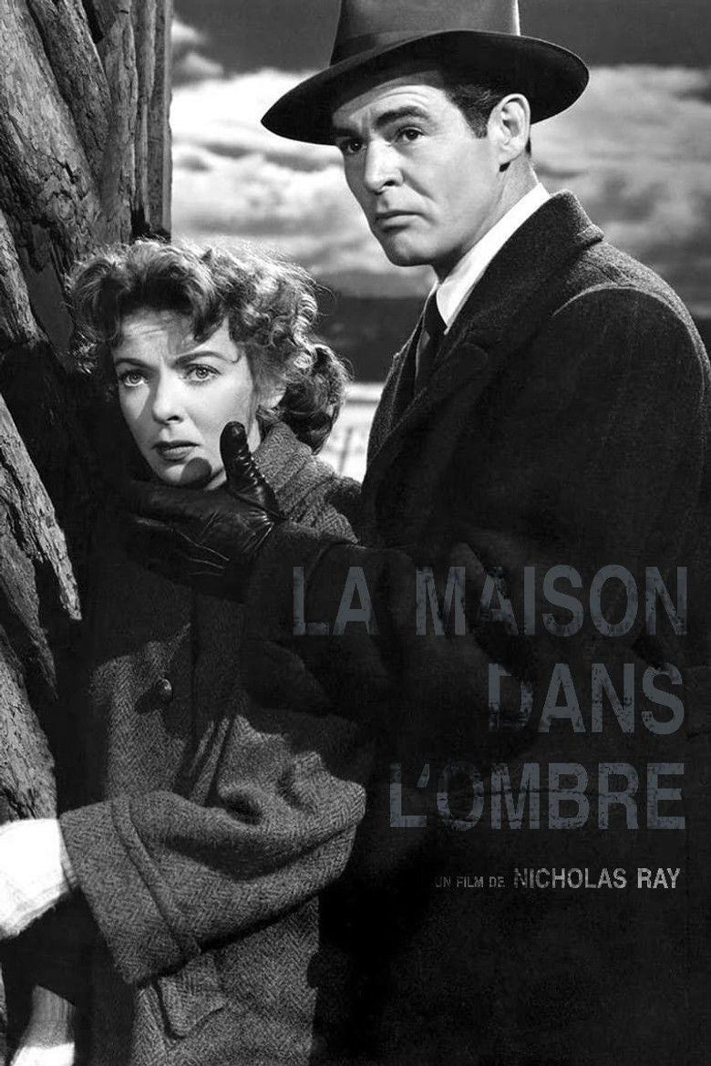 MAISON DANS L'OMBRE (LA) — TMDB (pass2)