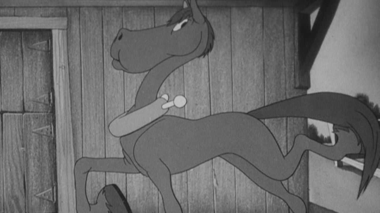 PORKY S PRIZE PONY — TMDB (pass2)