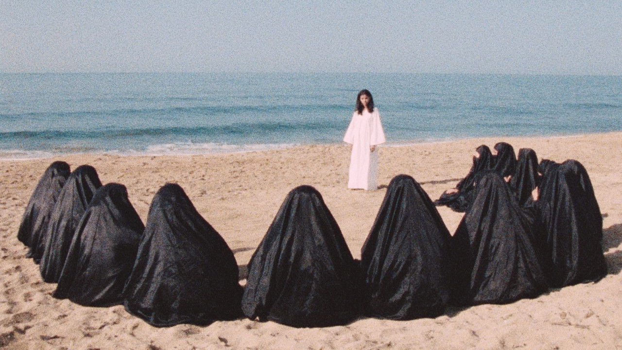 LEILA AND THE WOLVES — TMDB (pass2)