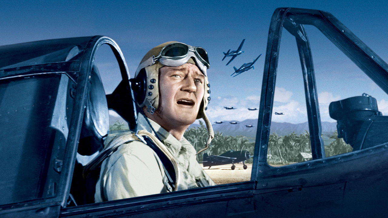 FLYING LEATHERNECKS — TMDB (pass2)