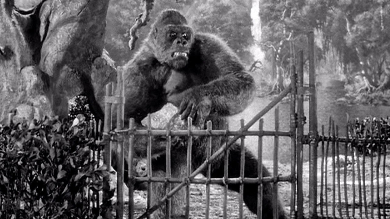MIGHTY JOE YOUNG — TMDB (pass2)