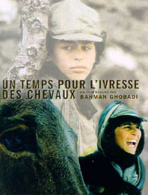 Temps Pour L Ivresse Des Chevaux